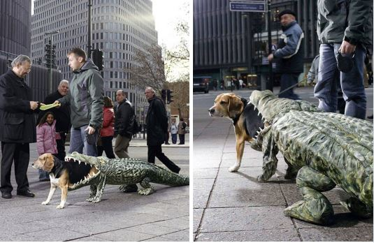 Мужчина выгуливал по улицам свою «проглоченную» крокодилом собаку и раздавал листовки «Приходите в зоопарк, пока зоопарк не пришел к вам». 
