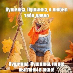 Не перевелись ещё романтики!