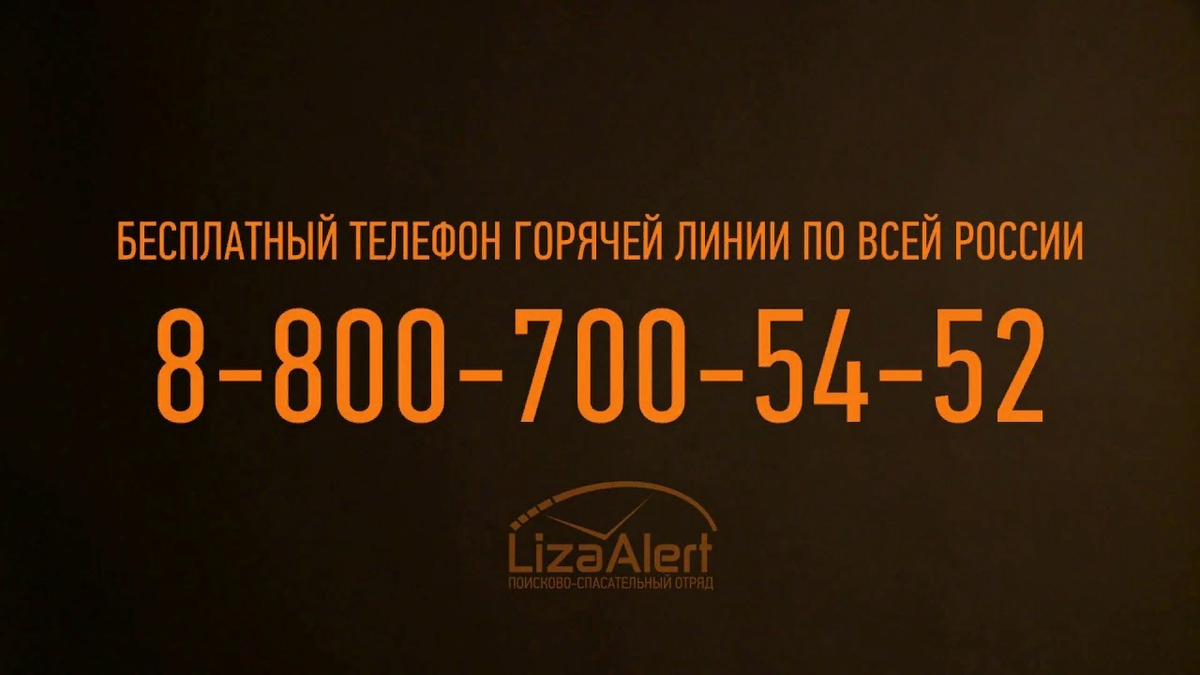 Бесплатный телефон горячей линии "ЛизаАлерт". Фото взято из https://lizaalert.org/