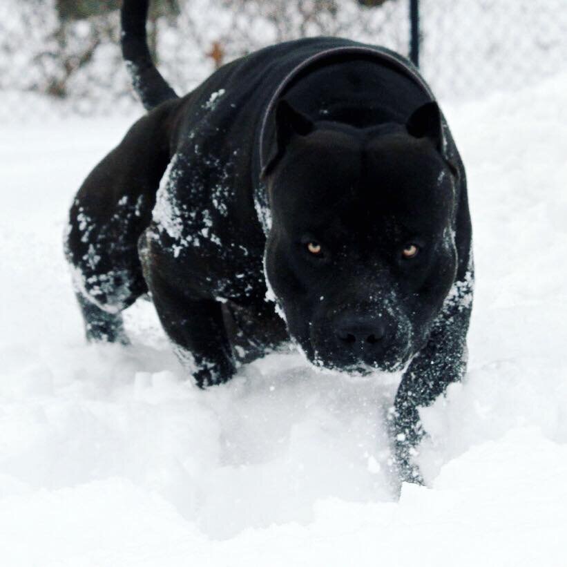 Фото из свободных источников