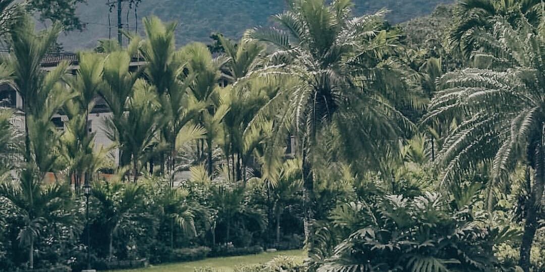 С нами все разговаривали по-итальянски. Стоит только ответить бонжорно, и понеслась