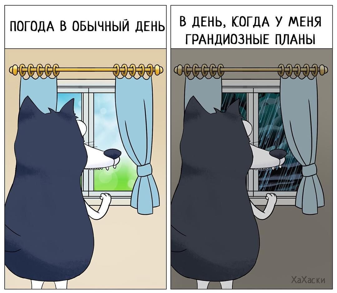 Смешные планы на сегодня