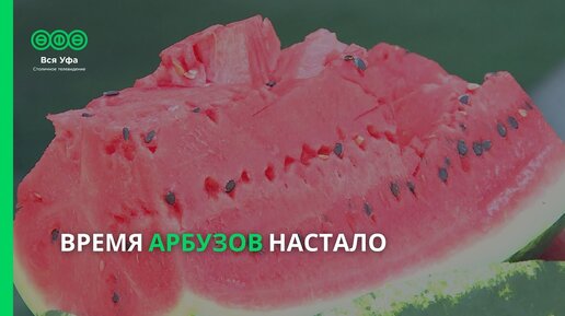 Время арбузов настало