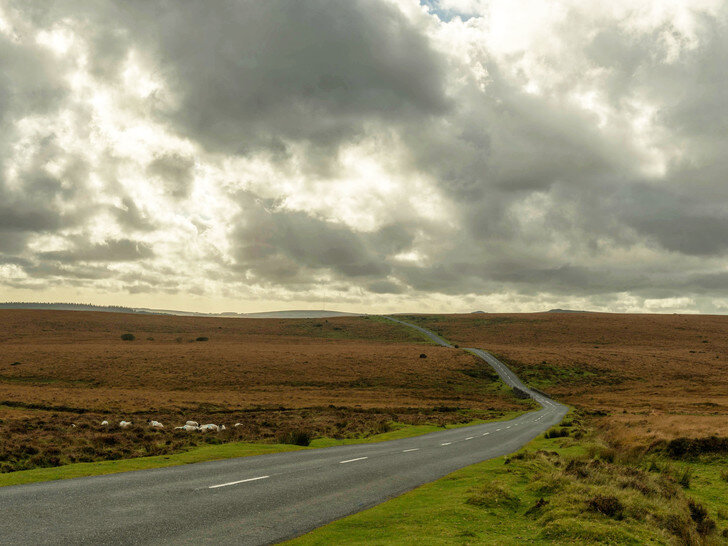 Фото взято из открытого источника