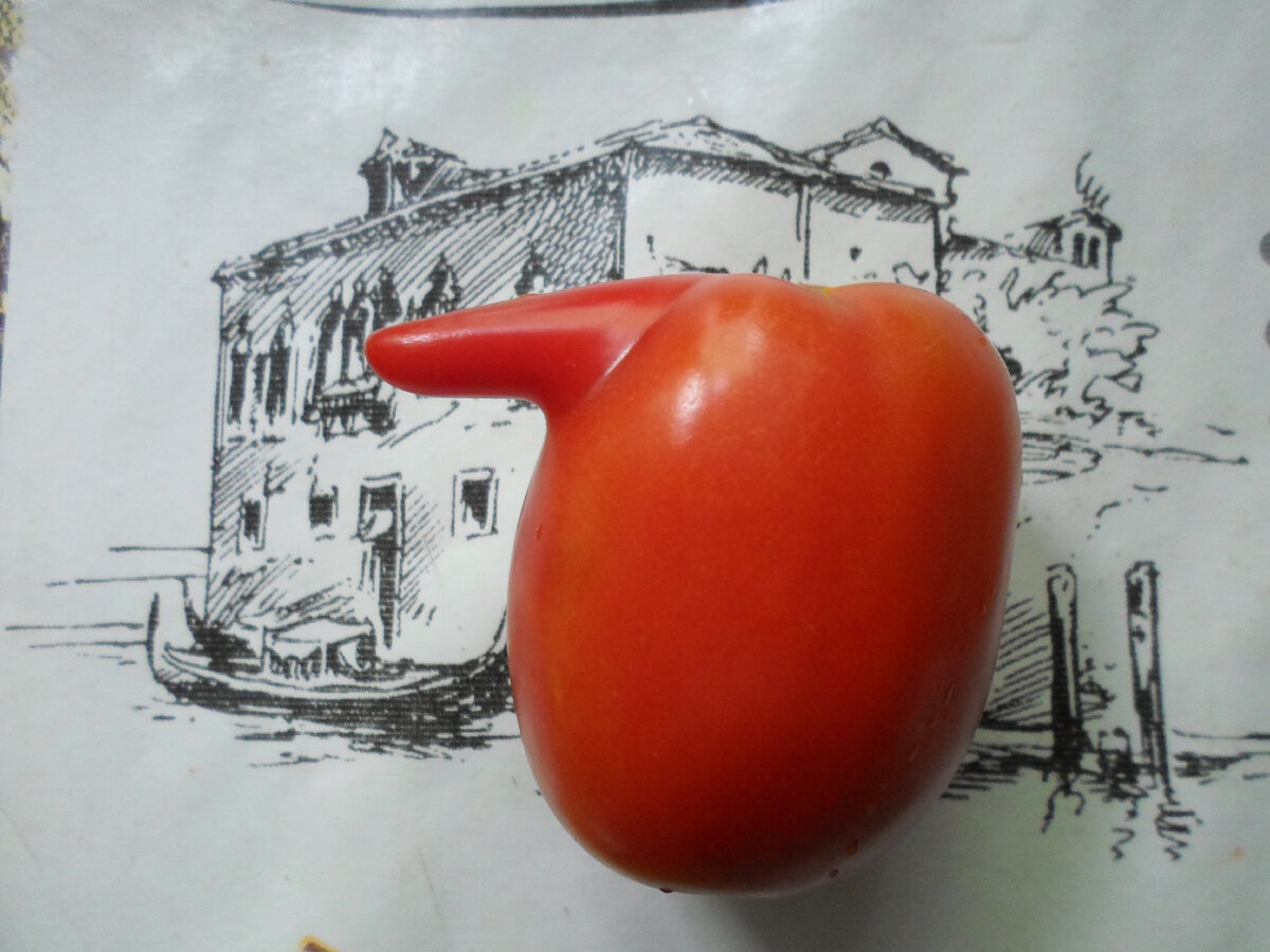 "Нос" гуляет по городу. На мою удачу, рисунок на скатерти оказался в тему.