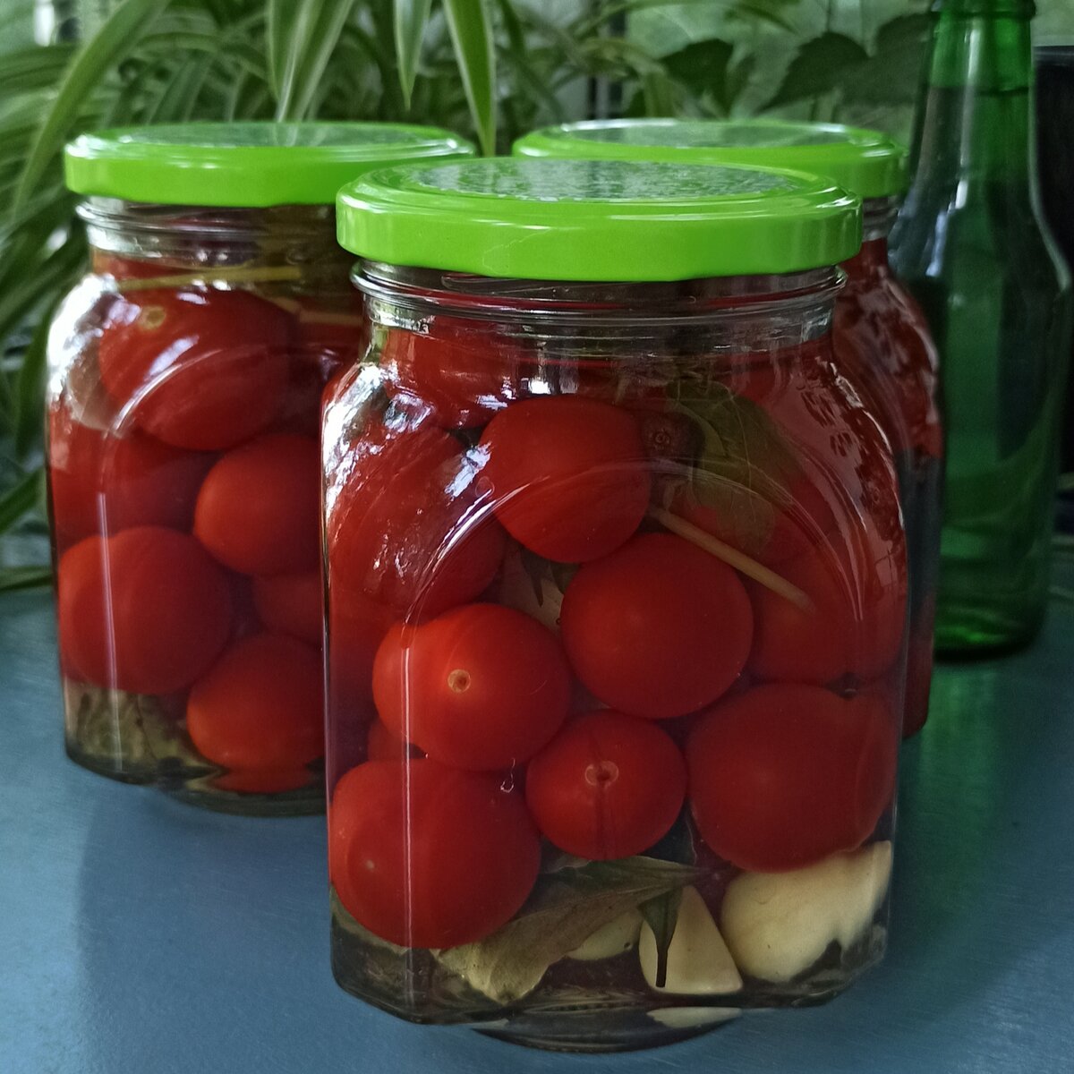 Маринованные помидоры на зиму: как приготовить их без стерилизации