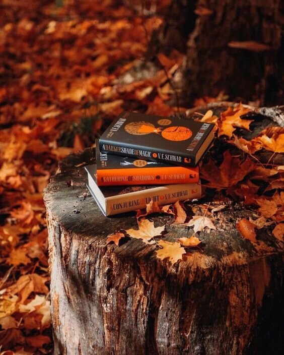 Осень - пора книг https://i.pinimg.com/564x/6f/5b/f2/6f5bf295f9d979dc2aedd5928e5702d9.jpg