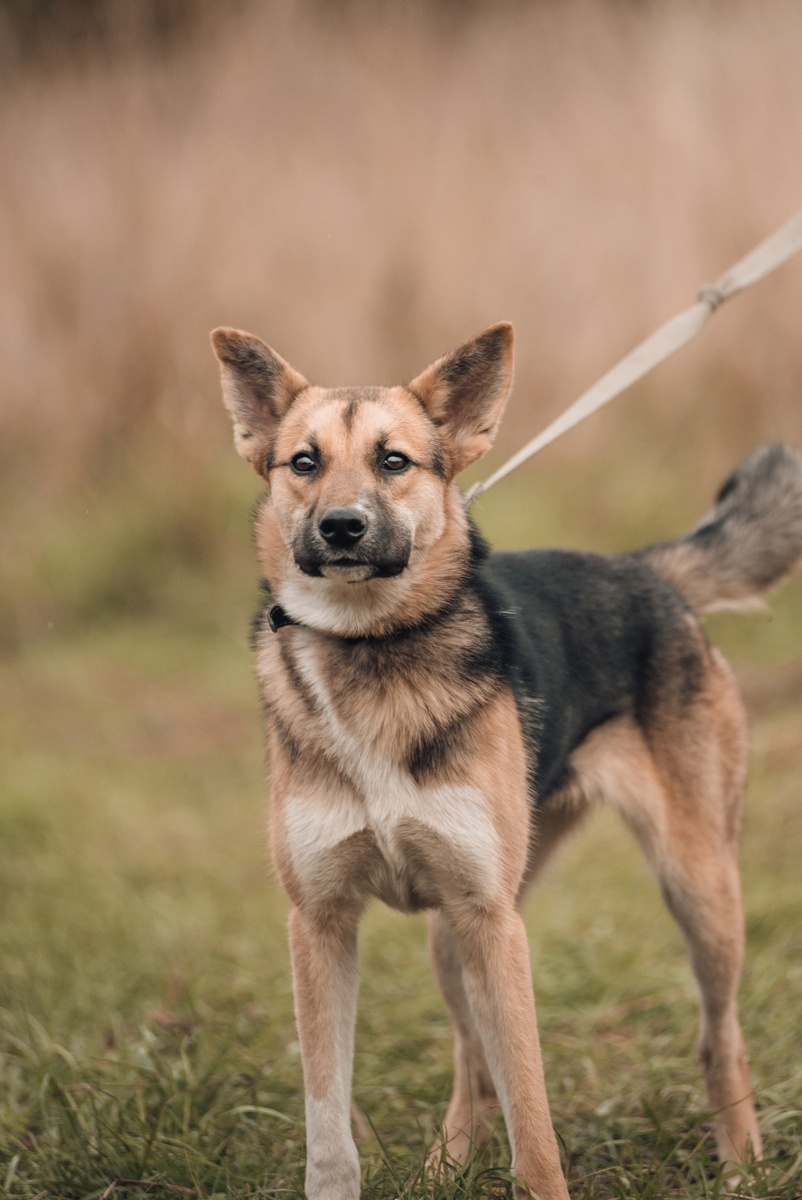 Берте нужен дом