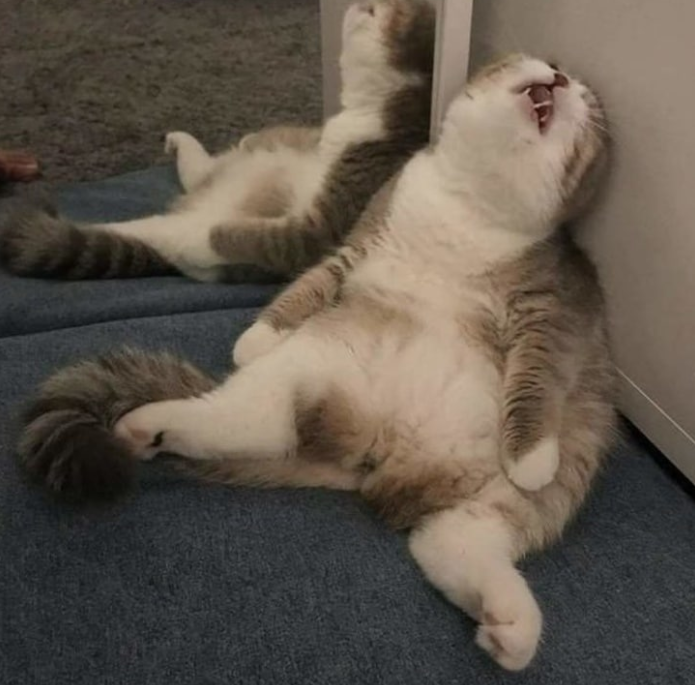 Фотография взята из свободного источника