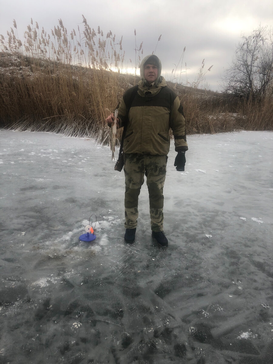 Для успешной ловли щуки в зимний период, когда река или озеро покрыто толстым слоем льда, рыболовы используют жерлицы. Хищник проявляет наибольшую активность в ноябре и декабре по первому льду и в конце ледостава, однако, в водоемах с течением щука хорошо клюет на протяжении всей зимы. Собираясь на рыбалку важно ознакомиться с особенностями ловли хищной рыбы и определиться с видом живцовой снасти.
Ловля на жерлицу подразумевает использование живой рыбки-живца, который является лучшим провокатором для щуки. Для ловли щуки используются различные виды жерлиц и их оснастки, а также тактики расстановки и ловли — все зависит от вида водоема (есть течение, или стоячий, глубина, вид дна итд), того, в какой стадии находится зима, активности хищницы.    Виды используемых жерлиц:
Для ловли хищницы в зимние месяцы рыбаки могут использовать жерлицы 2 видов. Каждая разновидность живцовой снасти наделена своими преимуществами и недостатками.
На платформе
Установка данного вида жерлицы производится на плоское основание. Платформу можно сделать в форме круга, прямоугольника, квадрата. Ее изготавливают из пластика и древесины. Жерлицу на платформе устанавливают непосредственно на лунку. Среди основных преимуществ этой снасти, стоит выделить:
защиту лунки от попадания солнечных лучей;
замедление процесса замерзания поверхности воды в отверстии благодаря основанию живцовой снасти (леска будет свободно сматываться и разматываться). Минусов у такой конструкции для ловли зубастой гораздо больше, нежели достоинств. К ним стоит отнести:
ненадежность узла фиксации катушки к основанию;
возникновение сложностей при снятии платформы в случае ее вмерзания в лед;
необходимость в использовании сигнальных шестов в снежную погоду (из-за небольшой высоты конструкции быстро заметает снегопад).
После установки живцовой снасти, сигнальный флажок заряжают упором в катушку. При поклевке он выпрямляется, подавая сигнал рыболову.
Жерлица на стойке
Стойка данного вида жерлицы может быть изготовлена из алюминия, пластика либо дерева. Главными достоинствами конструкции считаются:
небольшие размеры, что позволяет с легкостью перевозить живцовую снасть;
надежное крепление катушки с леской к стойке;
достаточная высота конструкции, позволяющая отказаться от использования сигнальных флажков во время снегопада.
К минусам жерлиц на стойке стоит отнести примерзание лески к катушке и частое вмерзание в лед.                                                                                  Секреты ловли щуки на жерлицы зимой: как найти хищника и как ставить жерлицы
Отправляясь на рыбалку, необходимо ознакомиться с информацией о том, где искать хищника.
Поиск стоянок щуки зимой
Зимой зубастая обитает на ямах и областях возле них, — на глубине 1-2 метра. Основную часть времени она передвигается, стремясь найти корм. Нередко рыба держится в зонах с более высокой температурой воды (места образования прогалин на льду). Чем больше толщина льда, тем глубже уходит хищник. Только к началу весны рыба вновь приблизится к береговой зоне.                          Повадки хищника
Щука по первому льду сохраняет активность. Она стремится запастить питательными веществами. В это время рыбу можно встретить практически на любом участке водоема. Передвигаться по прозрачному льду необходимо осторожно, ведь хищник сразу уходит на безопасное расстояние в случае шума и мелькания тени. В январе щука уходит на глубину и ведет себя пассивно. Рыба лишь изредка ищет себе корм и действует медленно. Ближе к концу зимы хищница вновь становится активной и ее можно будет найти не только на глубине, но и на мелководье.
Как искать
Отправляясь на поиски щуки необходимо в первую очередь обращать внимание на участки водоема с высоким содержанием кислорода. К таким зонам стоит отнести места:
впадения рек;
подводных родников;
областей водоема, в которых отсутствует гниющая тина. Также важно обращать внимание на участки водоема с затопленными коряжниками, одинокими бревнами под свалом. Именно здесь предпочитает обитать зубастая.
