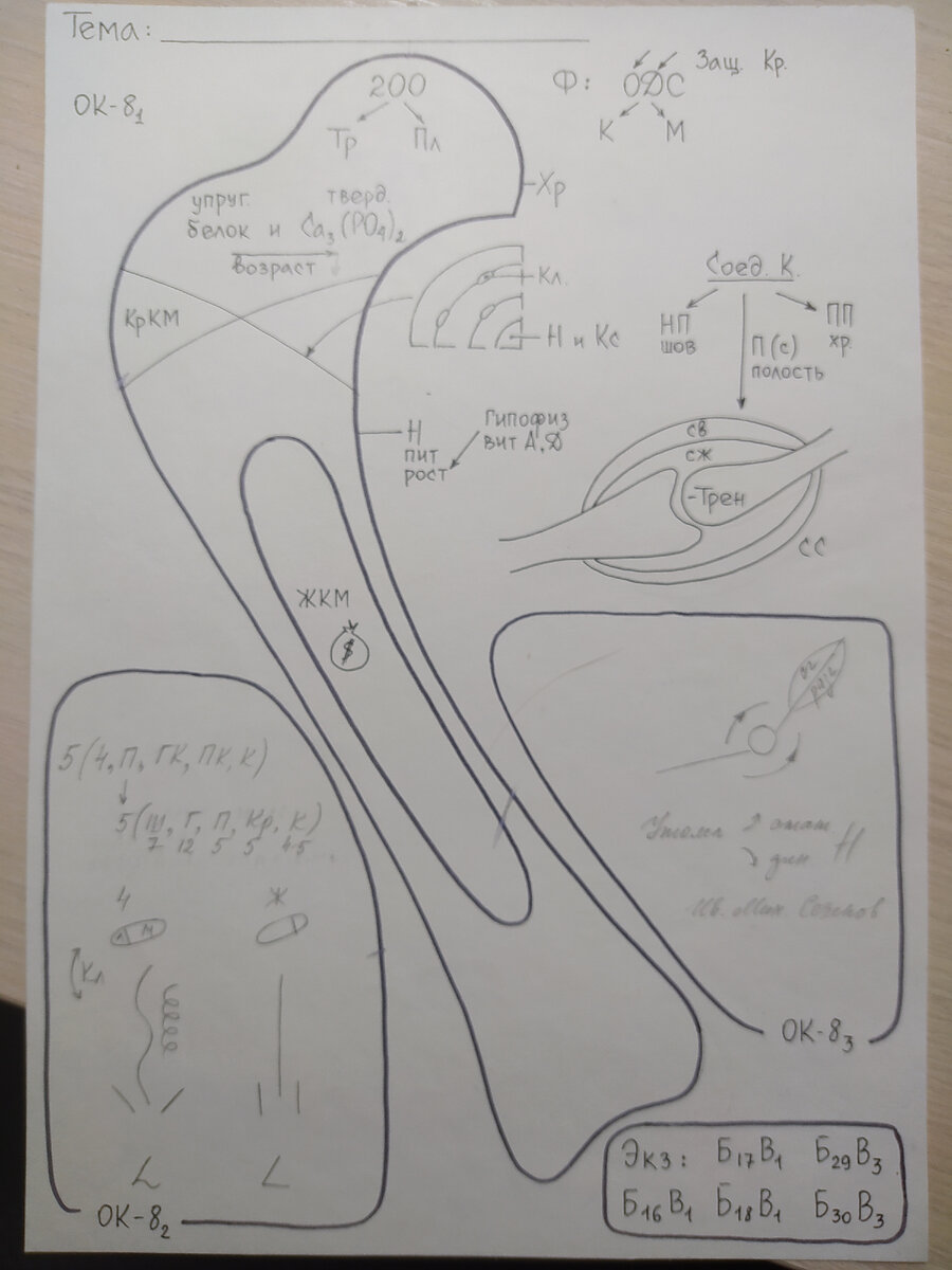 О древности этого артефакта говорит рамка в нижнем правом углу: перечислены номера билетов и вопросов устного экзамена по биологии в 9 классе