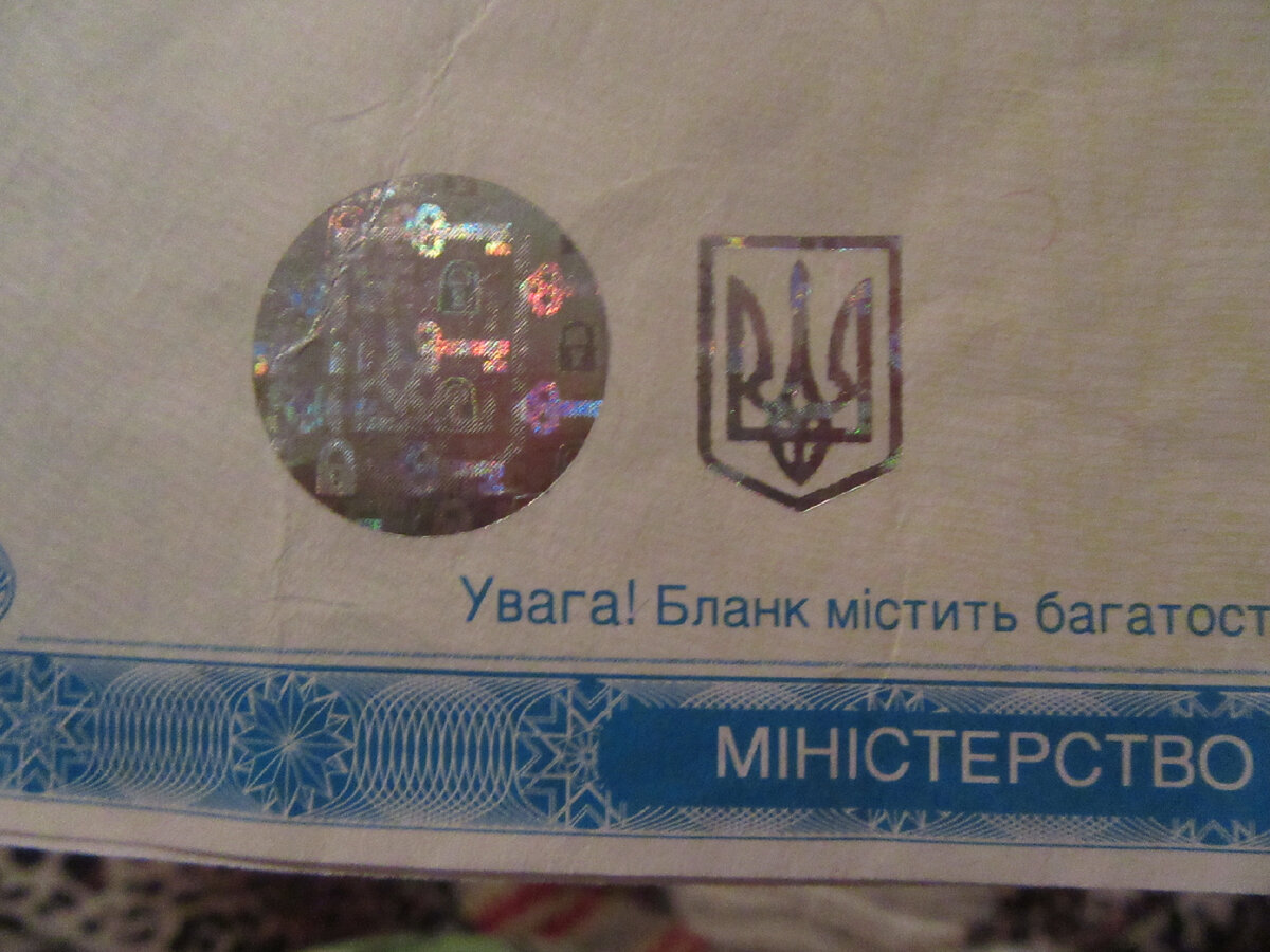 Украинские документы на недвижимость в Севастополе. Нотариус соломку  подстелил? | Истории про Жизнь и Севастополь | Дзен