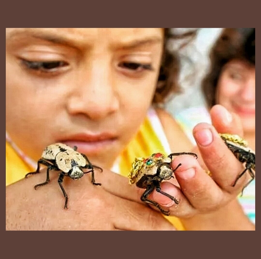 Костюм гусеницы своими руками