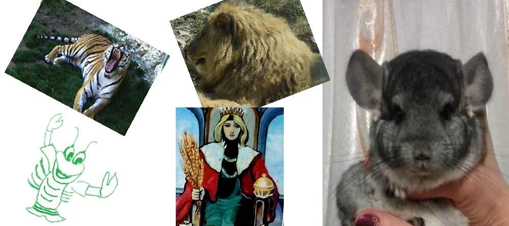 Год тигра крысы