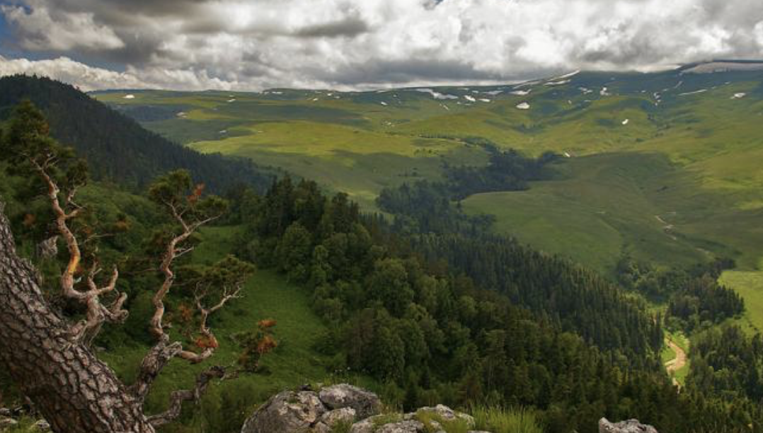 Кавказское нагорье. Плато Лаго-Наки Адыгея. Высокогорное плато Лаго-Наки (Адыгея).. Горы Адыгеи Лагонаки. Плато Лагонаки кавказский заповедник.