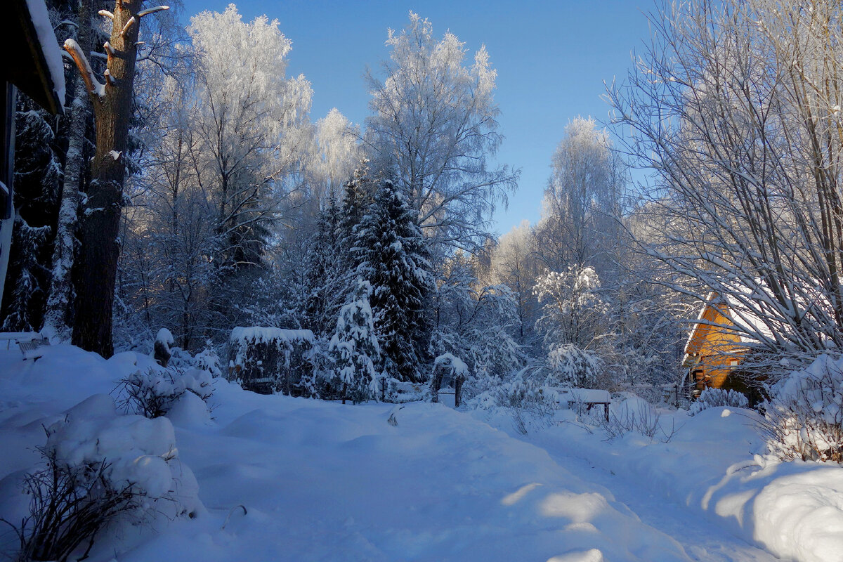 10 декабря 21 года