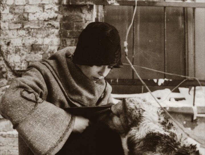 собачье сердце зина бунина.