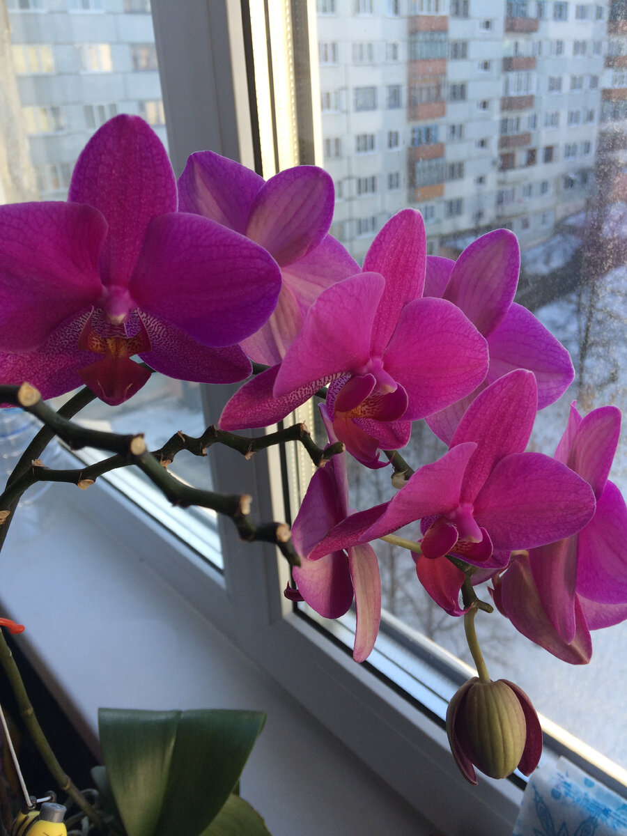 Фото из личного архива автора