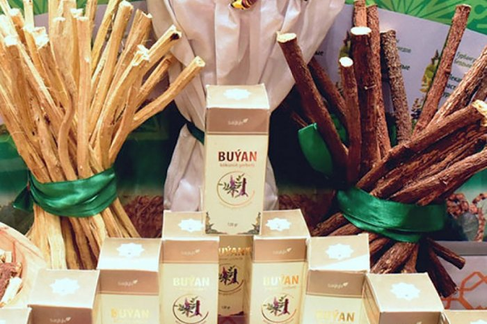 Источник фото: turkmenistan.gov.tm