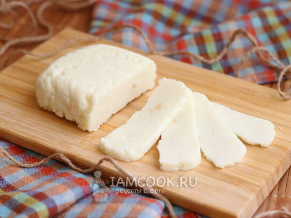 Домашняя сыродельница Cheese-maker – купить и забыть о магазинном сыре и твороге! - allegrosad.ru