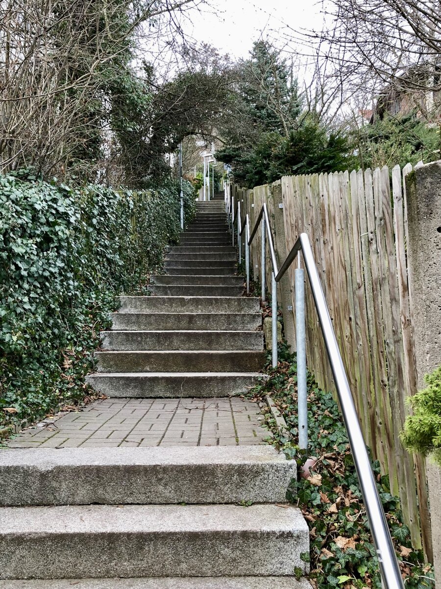 Так выглядела лестница, по которой мы поднимались полчаса к ресторану