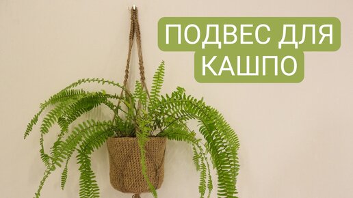 Подвес для растений / макраме кашпо своими руками