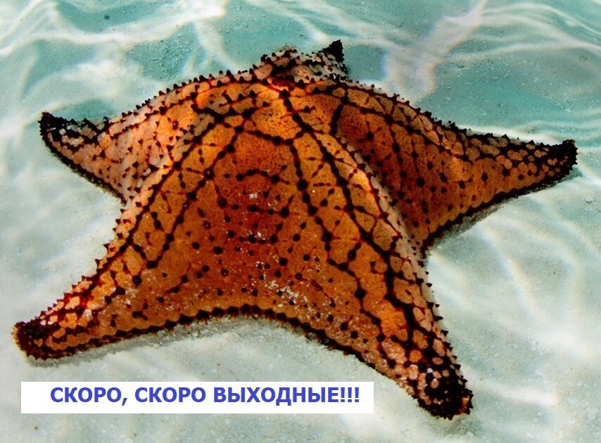 Пусть картинка воплотит все ваши ожидания от выходных - как вы себя видите в это сладкое время.