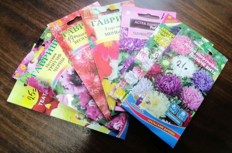 Цветы для посева на рассаду в феврале.