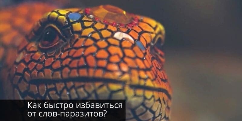 Слова-паразиты портят Вам жизнь? Тогда скорее читайте нашу инструкцию и Вы не только быстро избавитесь от них, но и улучшите свою жизнь… Источник: онлайн-журнал "о Жизни" Что такое слова-паразиты?-2