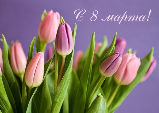 Яндекс картинки