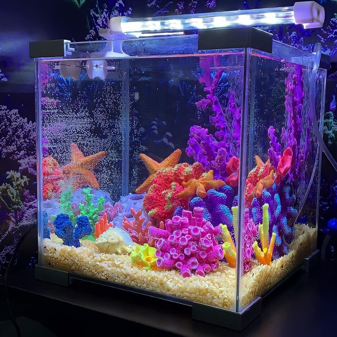 Творить с продукцией торговой марки Laguna AQUA весело и интересно.