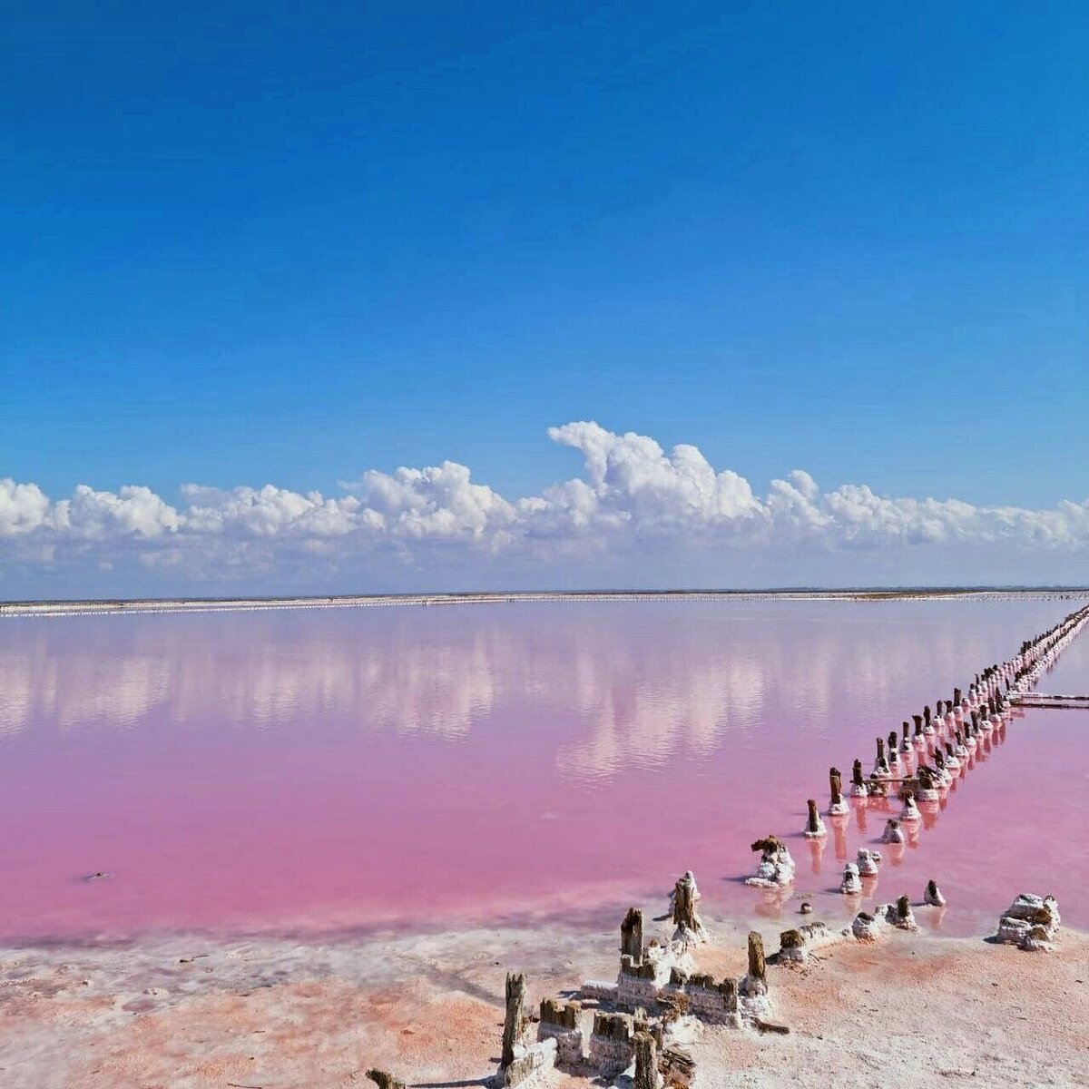 сасык сиваш в крыму фото