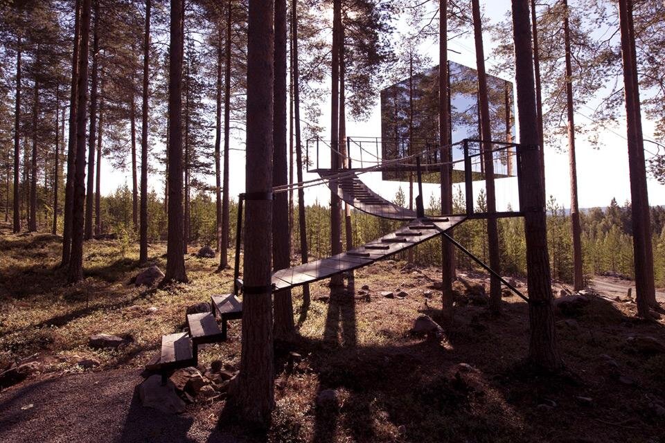 Фото: Treehotel 