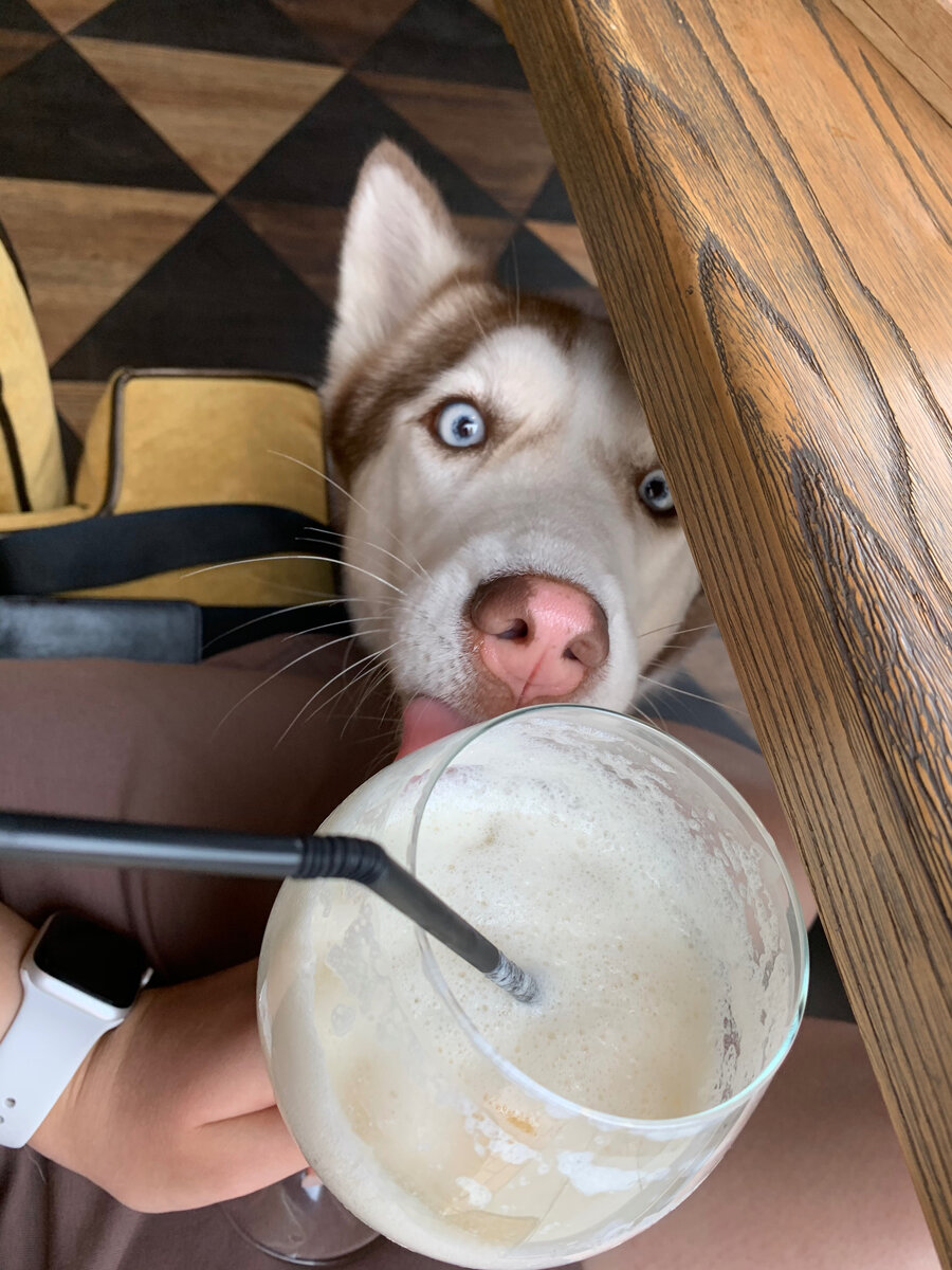 Мисс Нимерия будет сопровождать некоторый материал☺️ 