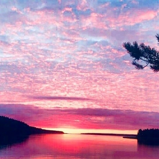 СЕМЕЙНЫЙ ОТДЫХ в ПРИБЫЛОВО на БЕРЕГУ ФИНСКОГО ЗАЛИВА.