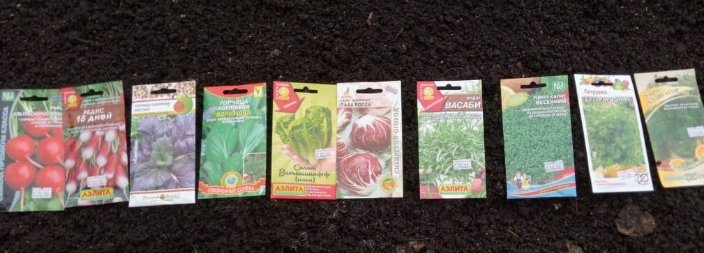 Посадка первой зелени, сезон 2021