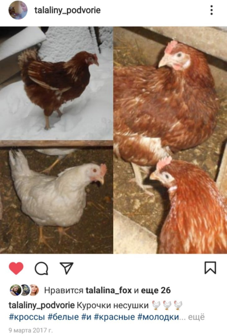 Одно из первых фото в отдельном аккаунте Инстаграм, сейчас я его уже удалила, а фото перенесла в группу ВК