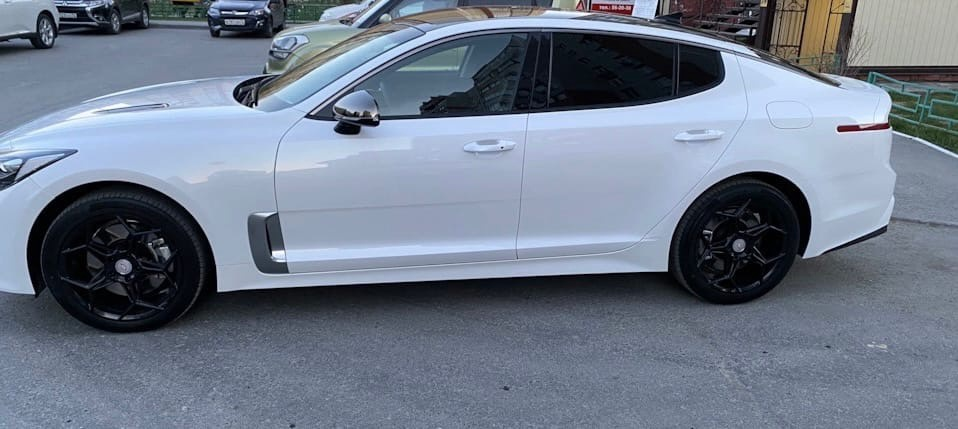 Увидела в свое городе такого красавца!!!