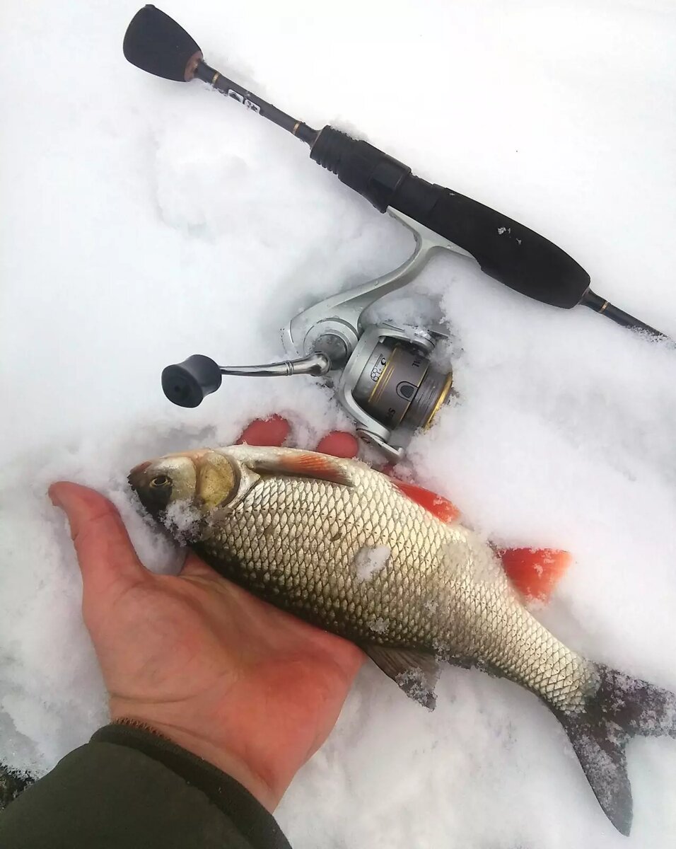 Катушка в снегу - а и не жаль