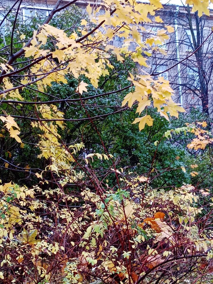 Тайна человека