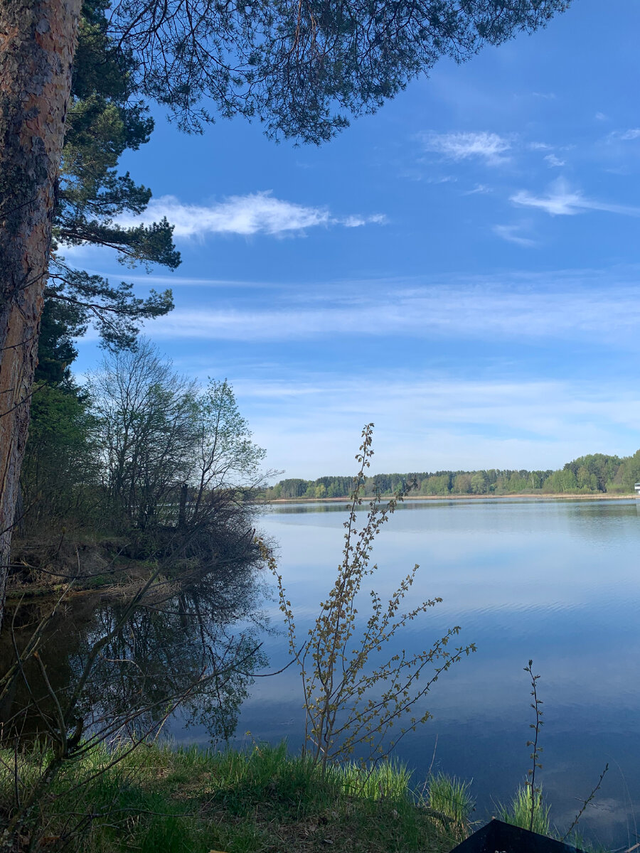 Все совершенствует природа. 
                                  (Лукреций) 