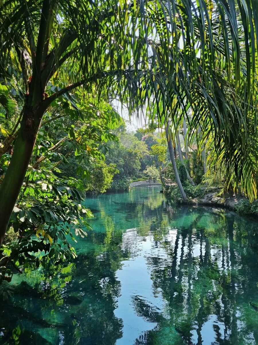 Пригород Мехико, 2 часа езды. Мексика