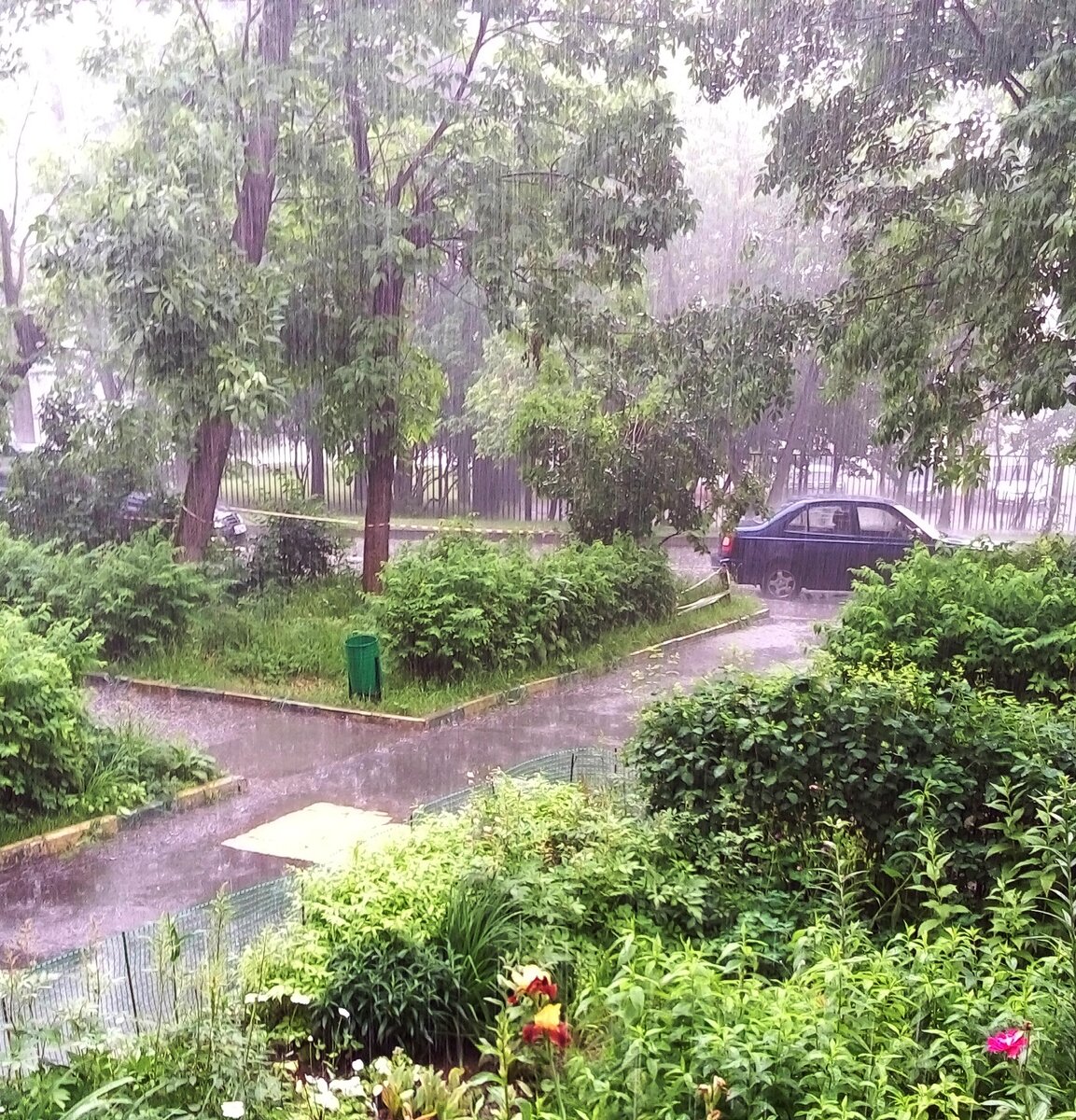 вид из окна- палисады в дождь. фото из личного архива