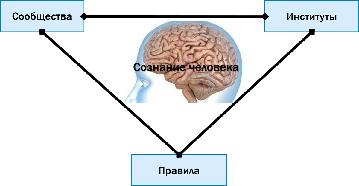 Рис. 1. Базис институционализма