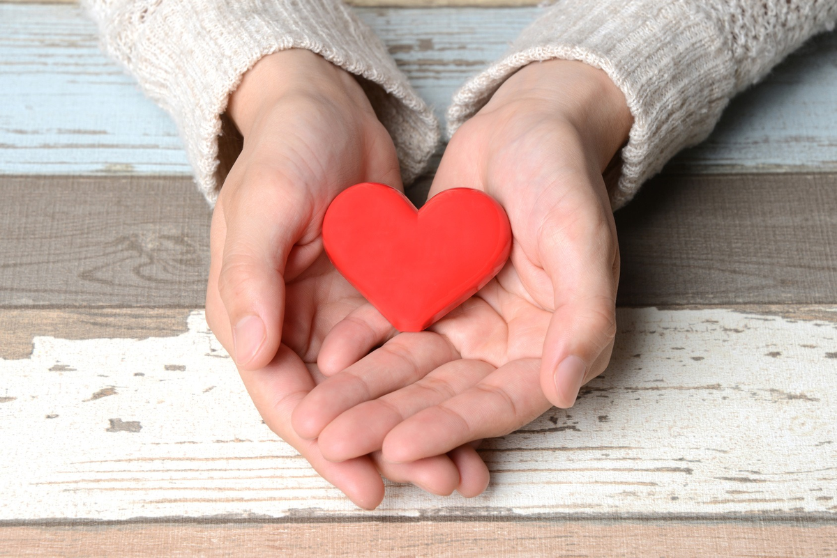 Фото из открытых источников в интернете