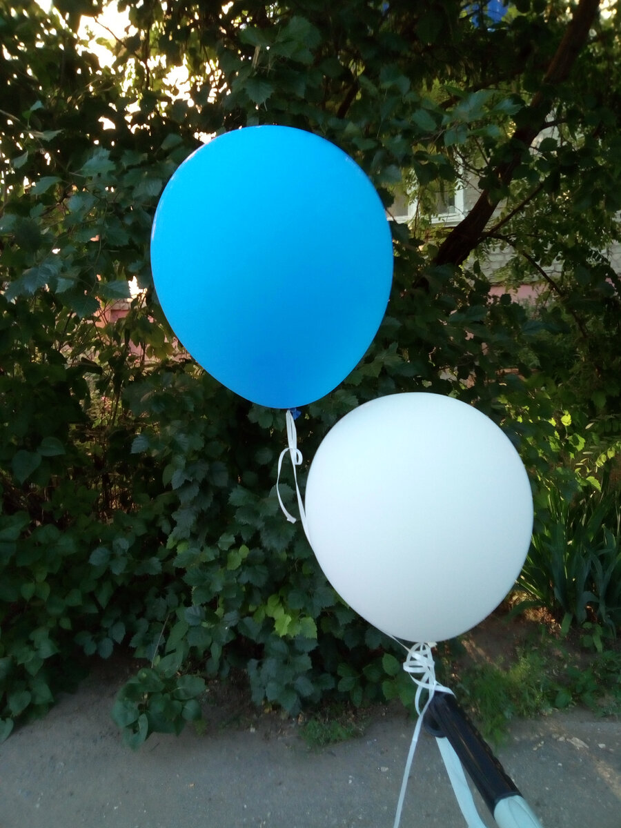 Фото автора. Те самые шарики