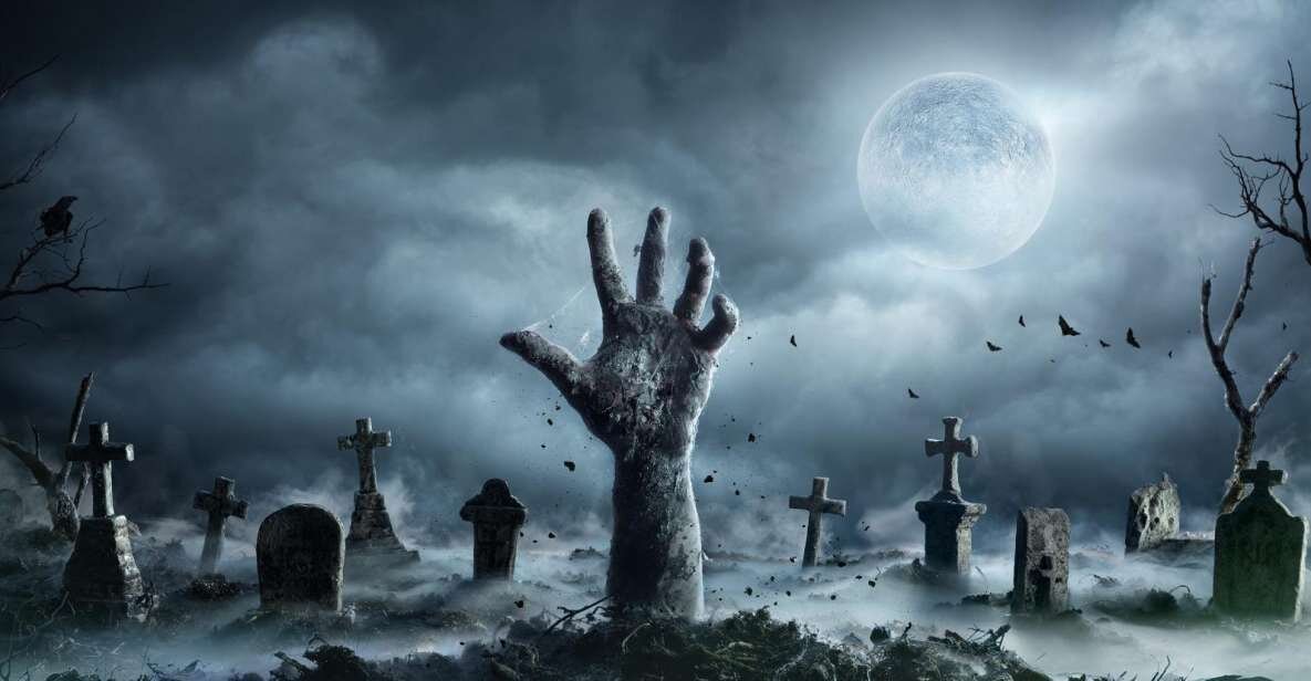 Фото из открытых источников интернета.