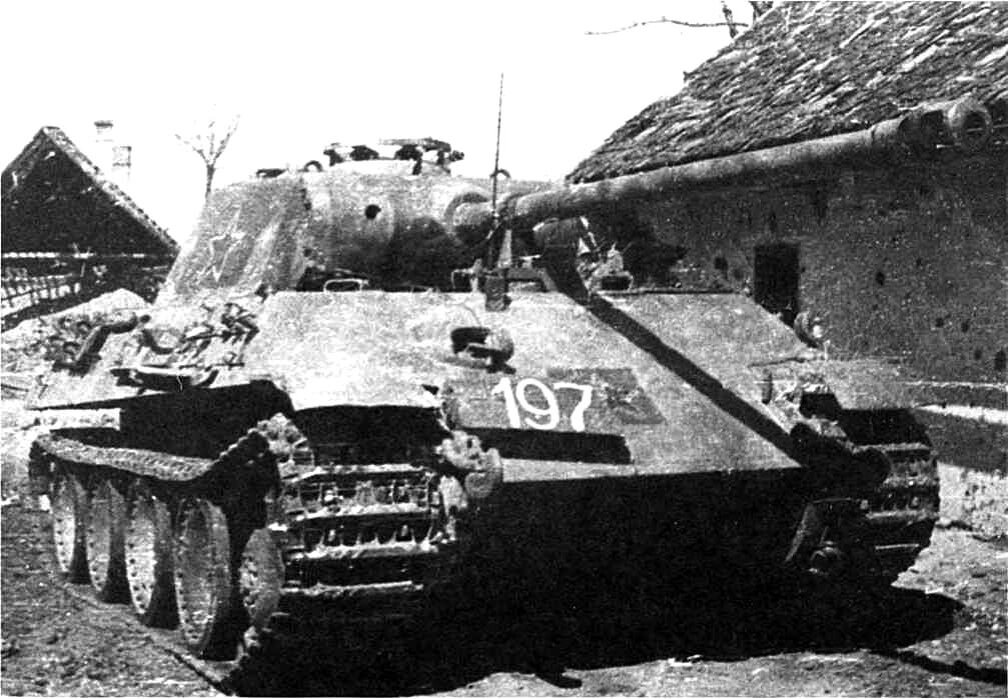 Танк "Пантера" захваченный советскими войсками, вероятно из 366-го гв.тсап.