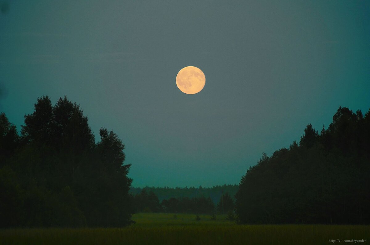 Поднялась луна на небо. Ночное поле с луной. Восход Луны. Лунное поле. Луна в поле.