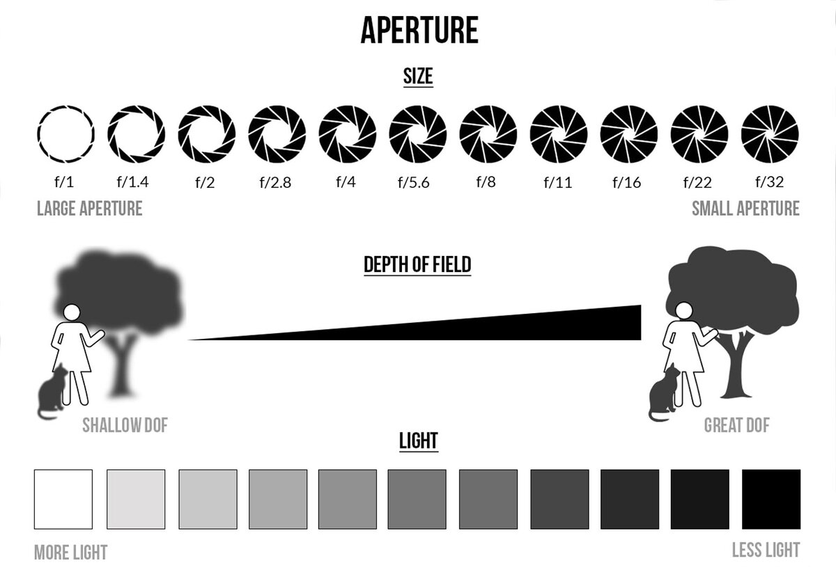 5. Диафрагма и глубина резкости. | Сергей Айрон - эпатажная фотография |  Дзен